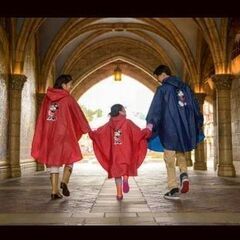 【無料】親子3人分 ディズニーリゾート ポンチョの画像