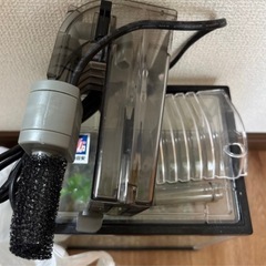 水槽の画像