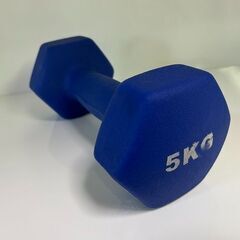 【リサイクルストアスターズ城西店】 【中古品】5kg ダンベル 青　①の画像