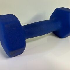 【リサイクルストアスターズ城西店】 【中古品】5kg ダンベル 青　①の画像