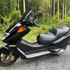 HONDA フォーサイト250セル始動 MF04-130 自賠責R9年3月まで FORESIGHTの画像