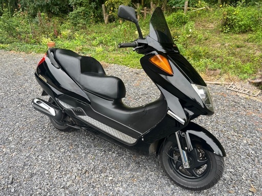 HONDA フォーサイト250セル始動 MF04-130 自賠責R9年3月まで FORESIGHT