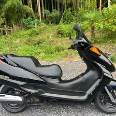 HONDA フォーサイト250セル始動 MF04-130 自賠責R9年3月まで FORESIGHTの画像