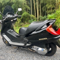HONDA フォーサイト250セル始動 MF04-130 自賠責R9年3月まで FORESIGHTの画像