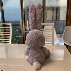 ディズニー　ステラ・ル　ぬいぐるみの画像