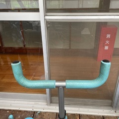 レッグウィング　16−12
の画像