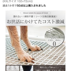 新品/大型犬用　イヌラボ トイレトレー　白　XXLサイズの画像