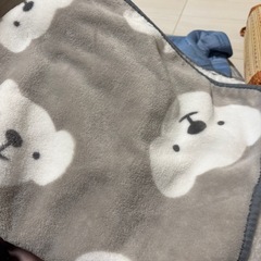【決定 
ニトリ シングル敷きパッド、ミニもうふ毛布の画像