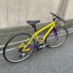 【整備済み】RITE WAY SHEPHERD CITY 3x8速の画像