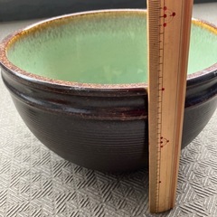 睡蓮鉢の画像