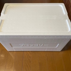 発泡スチロール　C　水抜き可能タイプの画像