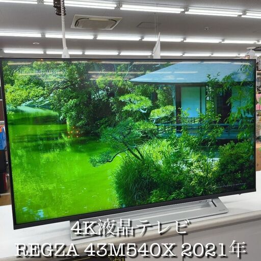 東芝 2024年製 液晶テレビ REGZA(レグザ) 43M540X [43V型 /4K対応 /BS・CS 4Kチューナー内蔵 /YouTube対応] エキスパート藤沢辻堂店