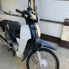 カブ50cc　の画像