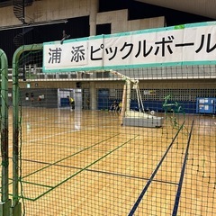 10/8(昼間)浦添でピックルボール一緒にやりましょう