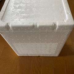 発泡スチロール　Dの画像