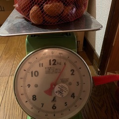 栗🌰1キロの画像