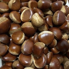 栗🌰1キロの画像