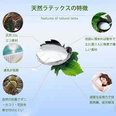 【ほぼ新品】天然１００％ラテックス枕　高品質　高反発　抗菌　高耐久の画像