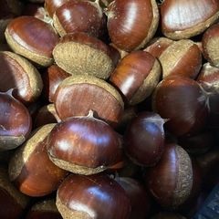栗　2キロの画像