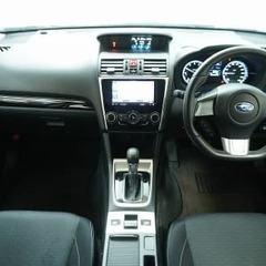 💫4WD💫の画像