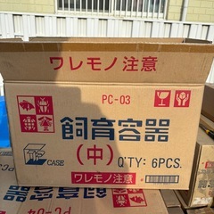 飼育容器　中型　6個セット　新品未使用の画像