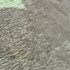 お花ラグマットの画像