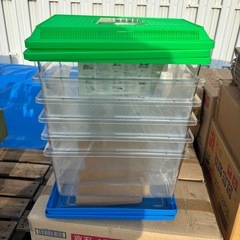 飼育容器　大型　6個セット　新品未使用の画像
