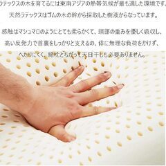 【ほぼ新品】天然１００％ラテックス枕　高品質　高反発　抗菌　高耐久の画像