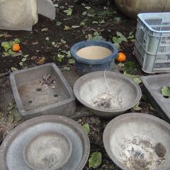 最終 程度の悪い植木鉢ございます 四角いのはほとんど割れ欠けございます 欲しい個数で結構の画像