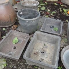 最終 程度の悪い植木鉢ございます 四角いのはほとんど割れ欠けございます 欲しい個数で結構の画像