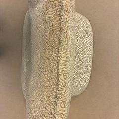 ligne roset 背もたれのみ2個セットの画像