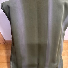 深緑、ストライプ、裏ヤケ有りの画像