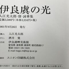 伊良虞の光 入江光太郎・窈・詞華集 伊良湖岬美術館 2001年 の画像