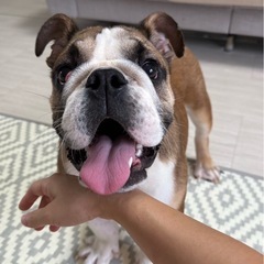 募集終了となりました🙇‍♀️