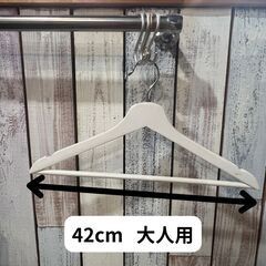 ハンガー2種　白　木の画像