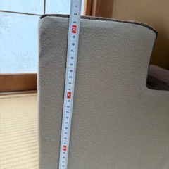 ペットステップ★カインズ製品
の画像