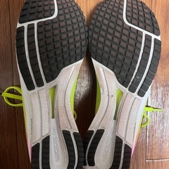 【激レア】NIKEランニングシューズセット
の画像