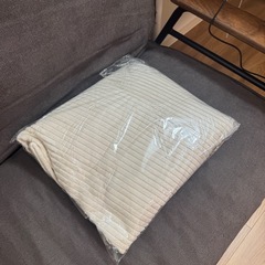 10/10まで 2-3人掛ソファー（新品カバー付き） の画像