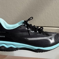 ほぼ未使用 ミズノ Wave Exceed Court OC 27.5cm テニスシューズ の画像