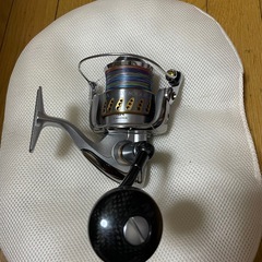 ステラ　sw 8000 リール の画像