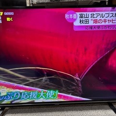 アイリスオーヤマハイビジョン液晶テレビ　型番 LT-49A620の画像