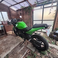 ninja250rの画像