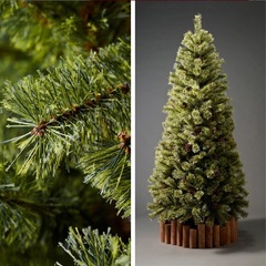 アルザスツリー　クリスマスツリーの画像