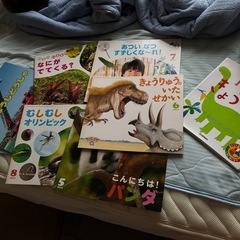 本の画像