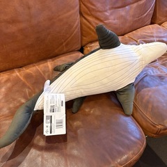 モサ
サウルスの画像