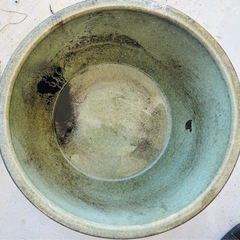 水鉢の画像