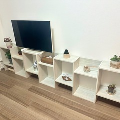 棚　テレビボード　シェルフ　キャビネット　　の画像