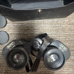 双眼鏡　BINOPET ZTYPE IOX30　の画像