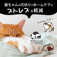  爪切り 目隠し マスク 猫マスク アイマスク フェイスマスク 爪きり補助具 猫用マスク ネコ ねこ 口輪 噛みつき防止 猫用品(S)の画像