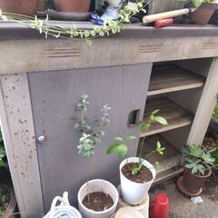 物置　横132×縦56×高111　の画像